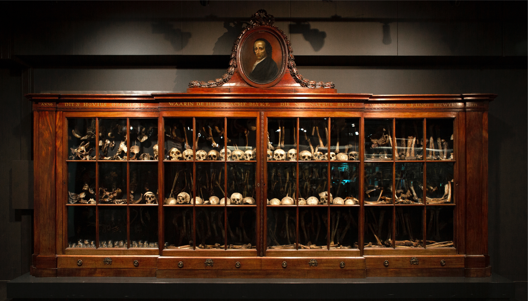 Vrolik Museum