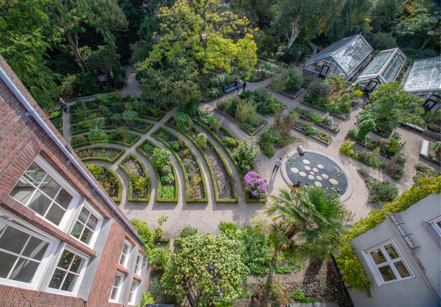Hortus Botanicus