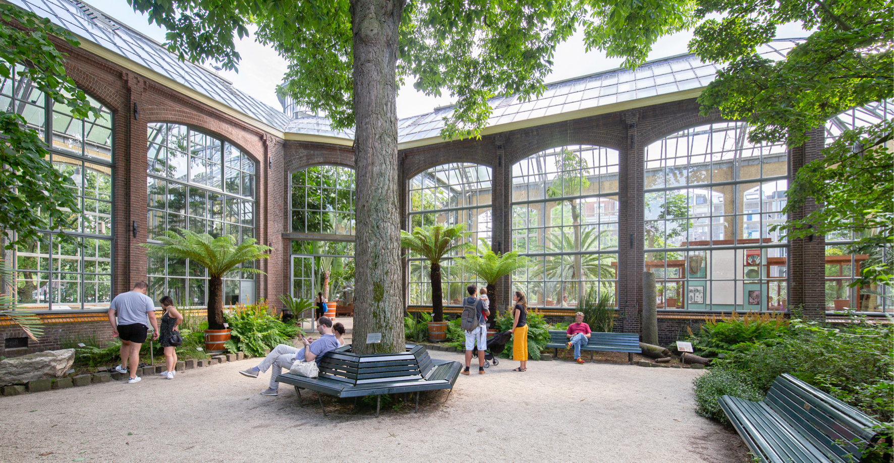 Hortus Botanicus